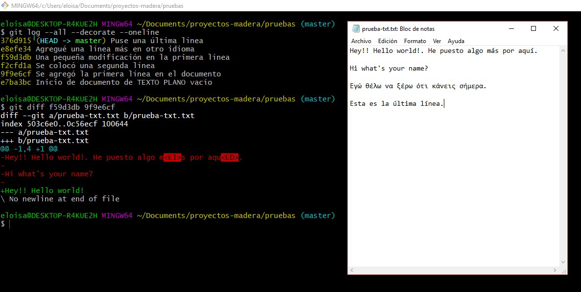 Versión reciente vs versión antigua