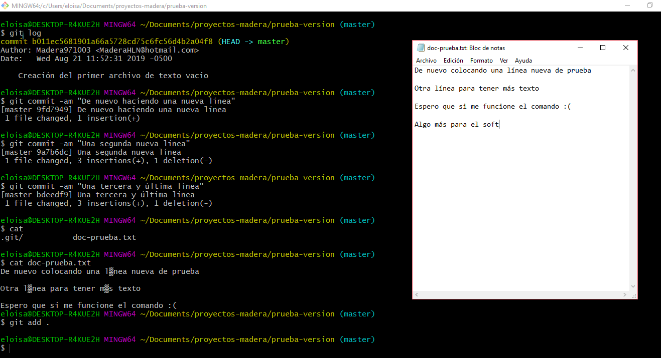 Regreso de versión con soft