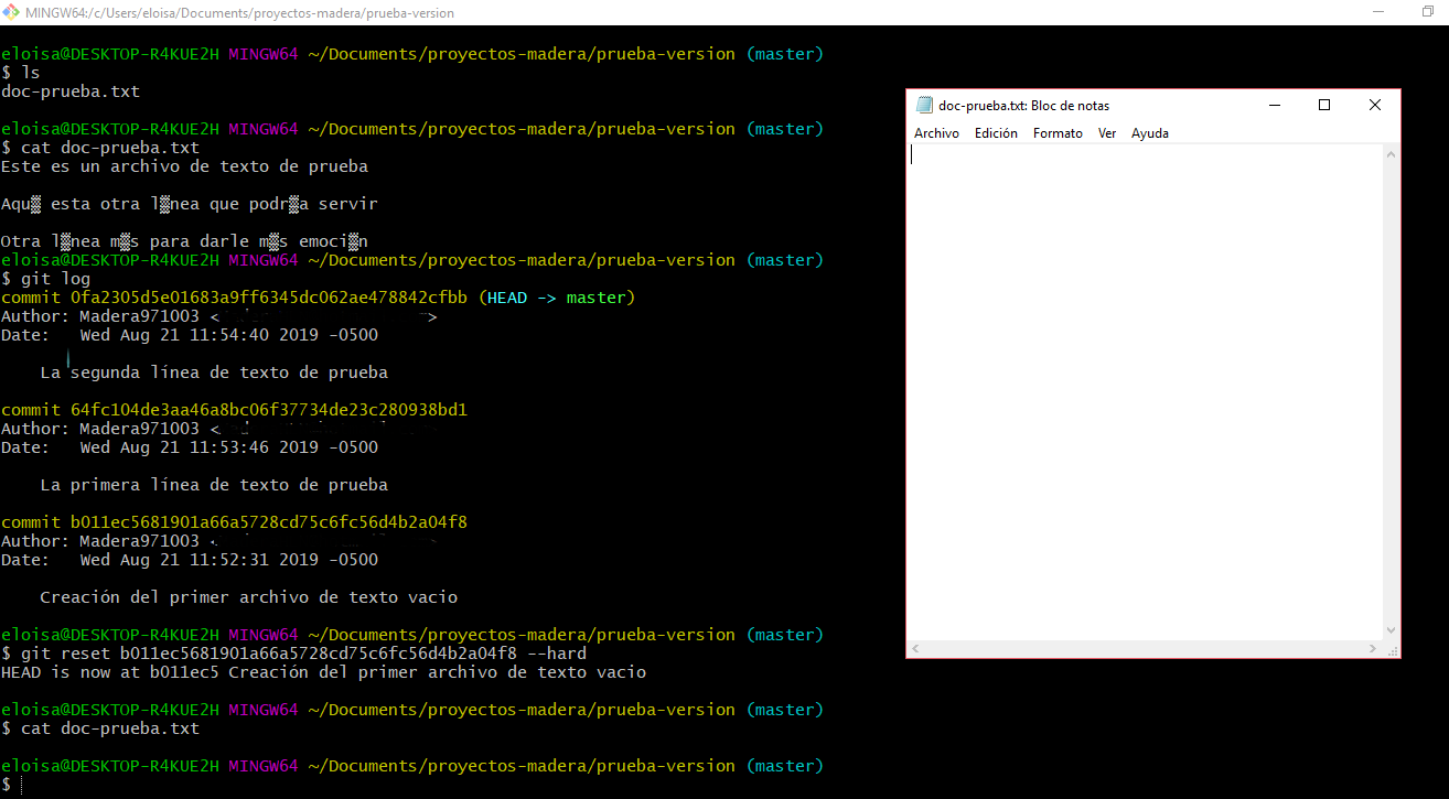 Regreso a la versión inicial